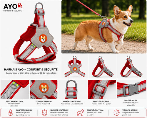 Harnais tactique pour chien  - Confort,controle et sécurité